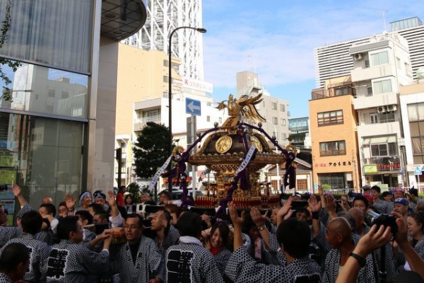 お祭りにゃんこ スカイツリー