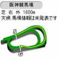 【競馬】阪神ジュベナイルFの枠順が確定　アランカールは2枠4番・マーゴットラヴミーは4枠7番に