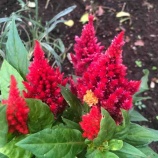 �ء�ī�Τ������ۻ䤬�����θ���������ϡ֥��ʥ����Х󥯡��Фؤ�ι�פǤ��������λ����θ������ä��򣳤Ĥ��ä��ޤ����٤β���