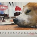 2026年9月の給料