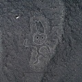 ナスカの地上絵新たに248点発見　山形大学発表
