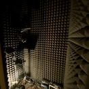 花粉とマイクスタンド