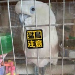 ぴっちゃん三二六