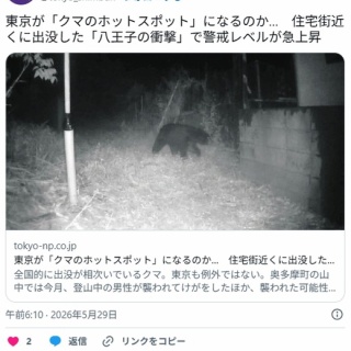 BOOK】エレファントブランド バンダナ本第2弾発売です : スタンダード