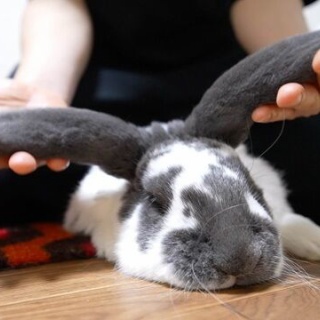 うのくらし