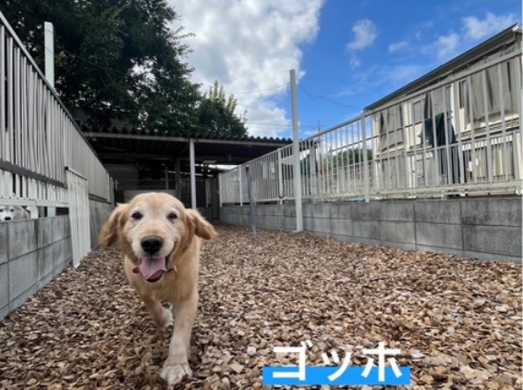 暑さが和らいでいるシェルター地方です。