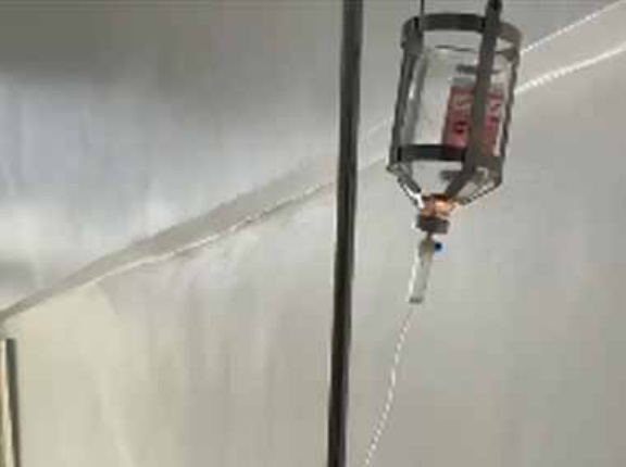 負傷した子ネコが点滴を受けていた。大丈夫、すぐに良くなるよ → やさしい看護師さんはこうします…