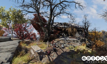 マリーゴールド・パビリオン（Marigold Pavilion）