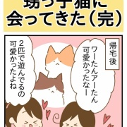 甥っ子猫に会ってきた（完）