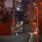 夜散歩のススメ