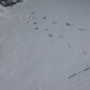 誘われる前に・・・