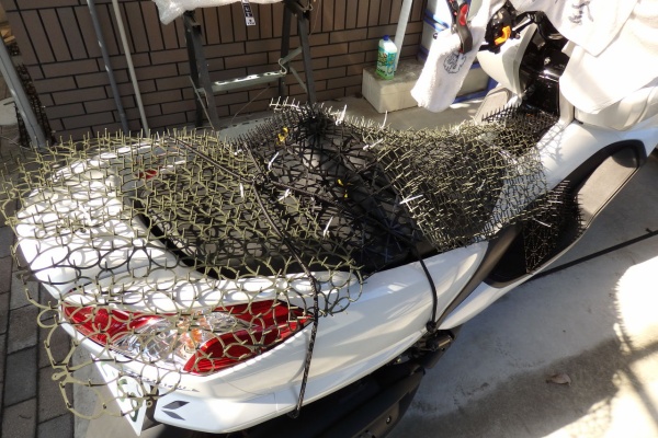 バイクで聖地を巡る旅 16