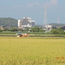 千葉ロッテ貞元移転303　石井宏子君津市長の令和8年度施政方針を検証する！言行不一致浮き彫りに！④
