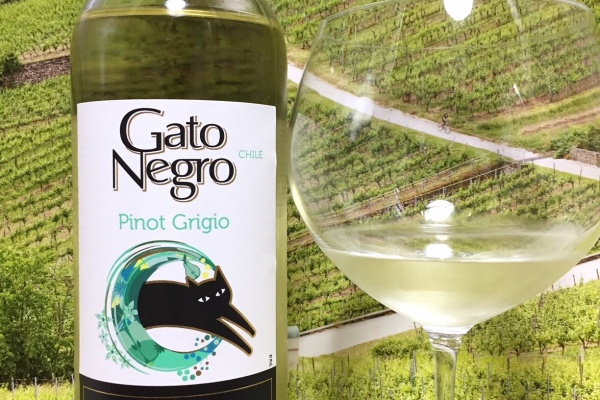 Red Red Wine：「偉いワイン」探しの備忘録（ワインブログ） - GatoNegro
