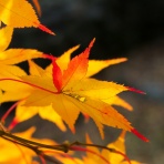 北の小さな町から