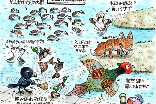 富士鷹なすびのブログ