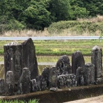 イワナの散歩Ⅱ