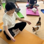 猫式ブログ～里親募集型猫カフェ