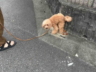 楽天お買い物マラソン🏃🏃‍♀️🏃‍♂️