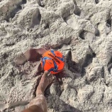 『ありがとう(井上海斗)』の画像