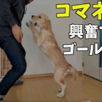 BLITZ WORKS 俺のブログ by ローリー青野