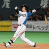 日ハムの横尾とかいう右の吉田
