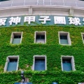 【高校野球】夏の甲子園出場校「外人部隊」を独自調査　まさかの「ベンチ入り地元出身者ゼロ」の2校とは
