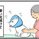 🐶入院中のちーちゃんの塩対応とシニア犬のお金の事情💰