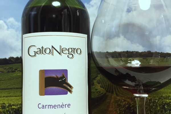Red Red Wine：「偉いワイン」探しの備忘録（ワインブログ） - GatoNegro
