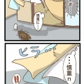 夏の恐怖、セミファイナル