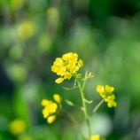 『人の話を聞いているふり～後は自己責任』の画像