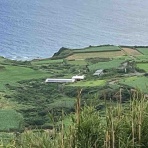 ちゅら島発 モーモーとおしゃべり
