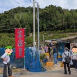 『みかん狩り🍊』の画像