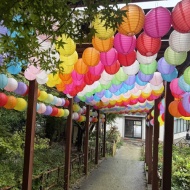 【滋賀・近江八幡】わずか4分で絶景へ！八幡山ロープウェーで楽しむ空中散歩と歴史旅
