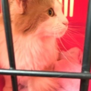 ケイとメルシーの体重測定