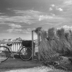 ”その日まで”