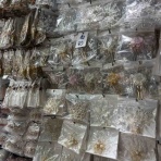 バンコクで暮らそう