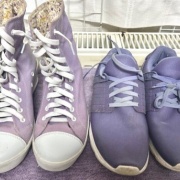 猫が「迷惑だ」と思っているときの表情