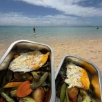 ハワイネコ ブログ