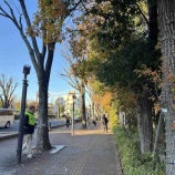 ������2��10���ϡָ�ë���ࡦ��������̤�����ݡ�����2009ǯ����17ǯ��³���ֻ�������̤�ηʴѤ�ʸ�������פ������ư������8������30ʬ�֡����ˤ��ޤ���٤β���