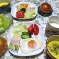 カワセミ　～焼きカレーパンの朝ご飯、映画の前のランチ、スシローで晩ご飯～