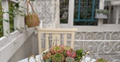 ＊リサイクルショップの器と安い多肉の寄せ植え