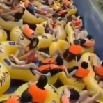 QQQ(海外の反応)