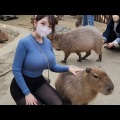 【youtube】爆乳ニットπ女による日本の動物園めぐり
