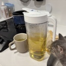 定期検診