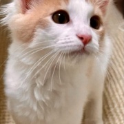 メルシーの誕生日は30枚の写真でお祝い～♪