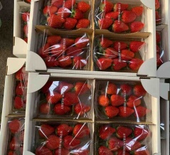 1/24（土）営業します