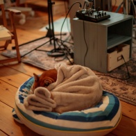 システム変更の妄想