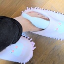 今年もスリッパに潜り込む文鳥