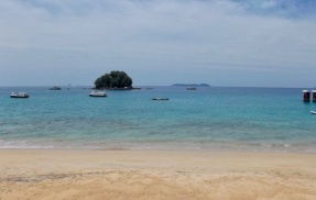 南シナ海のドラゴンホールで1700個以上の古代ウイルスが発見される